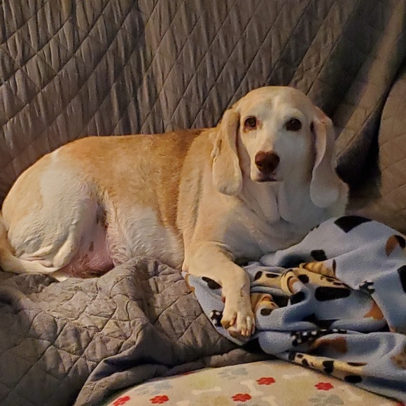 Meet your Posher, Cristie - Picture 2 of 4